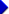 bullet