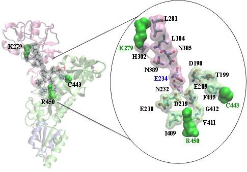 prors_pathway
