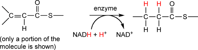 reduction with NADH