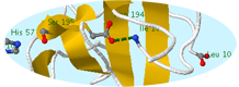 chymotrypsin activation