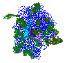 ribosome