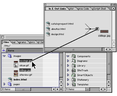 Change all references to oldlogo.jpg by dragging from the Point and Shoot button for the incoming link to newlogo.jpg in the site window. 
