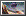 Adobe Online button
