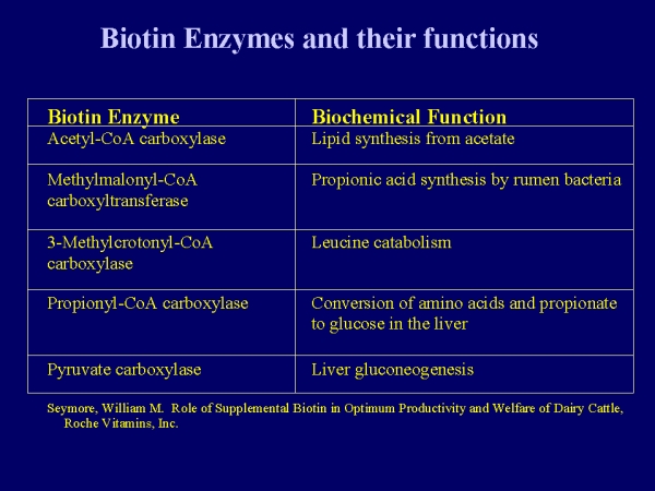 The Function of Biotin