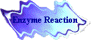 wackobutn.gif (4458 bytes)