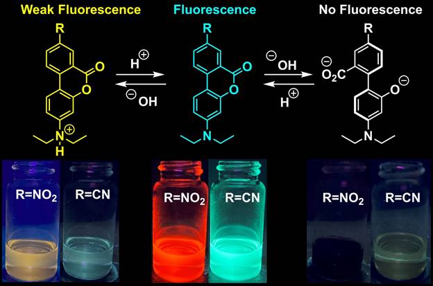 A group of glass bottles with different colored liquids

Description automatically generated