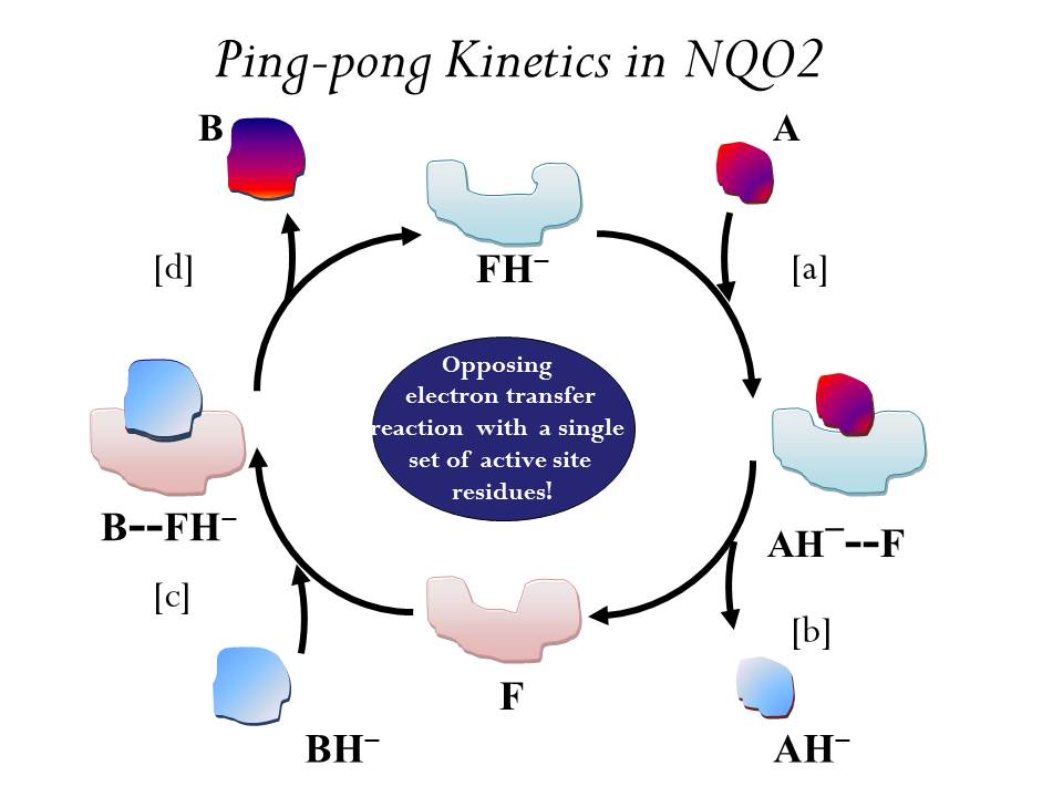 Ping_pong_qr