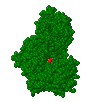 hexokinase