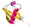 ubiquitin