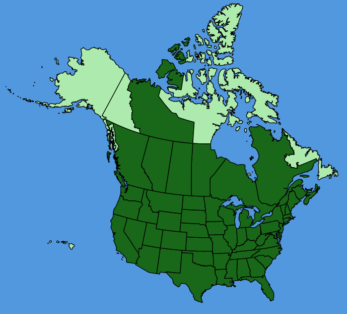 map-usc-Acer-negundo.JPG