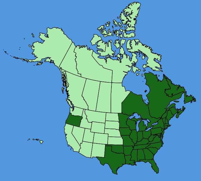 map-usc-Acer-rubrum.JPG