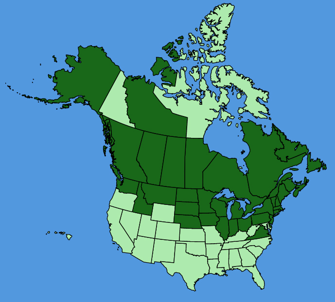 map-usc-Acorus-americanus.JPG