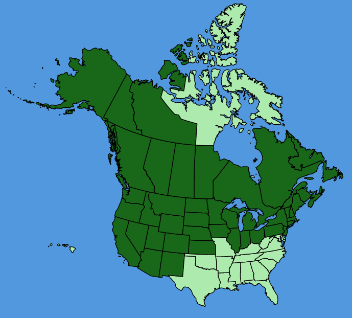 map-usc-Actaea-rubra.JPG