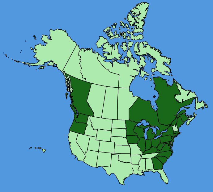 map-usc-Aesculus-hippocastanum.JPG