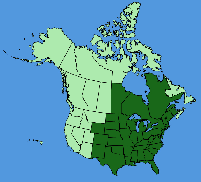 map-usc-Agalinis-tenuifolia.JPG
