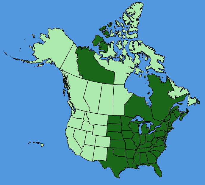 map-usc-Ageratina-altissima.JPG