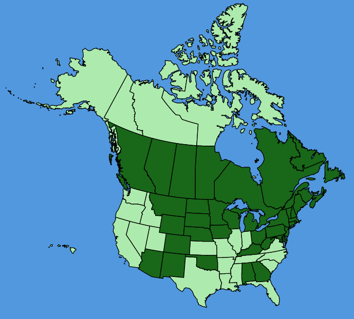 map-usc-Agrimonia-striata.JPG