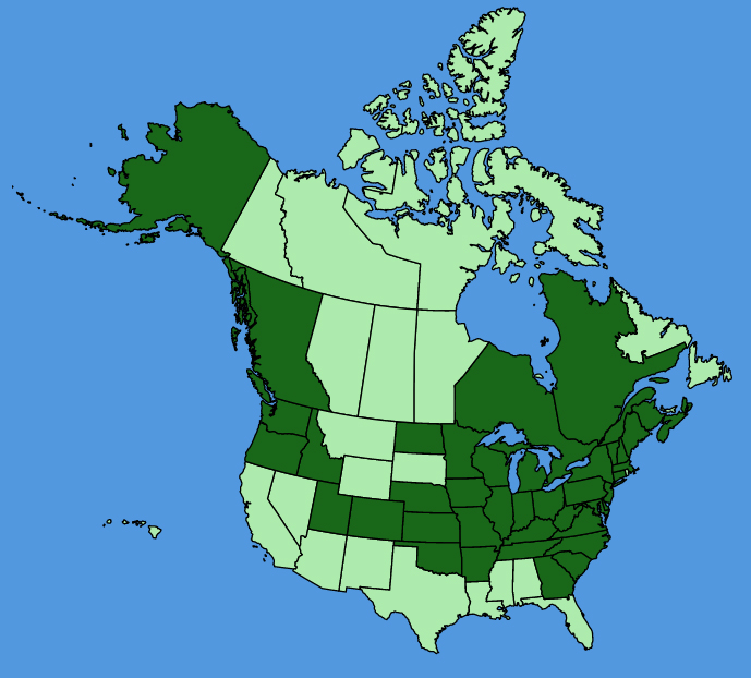 map-usc-Alliaria-petiolata.JPG