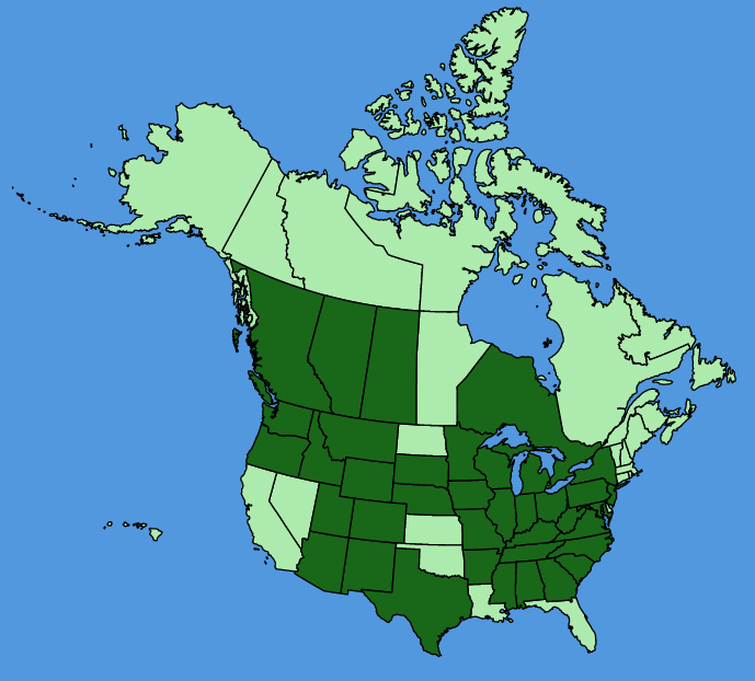 map-usc-Allium-cernuum.JPG