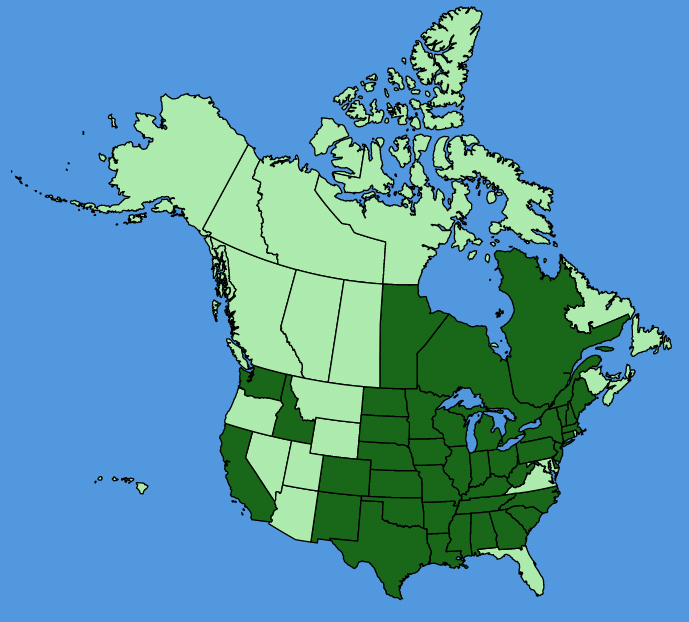 map-usc-Amaranthus-tuberculatus.JPG