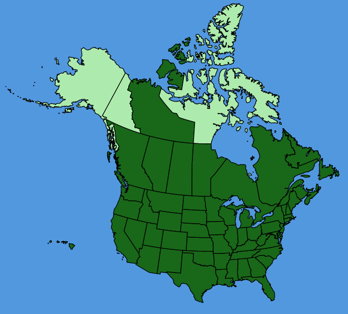 map-usc-Ambrosia-artemisiifolia.JPG