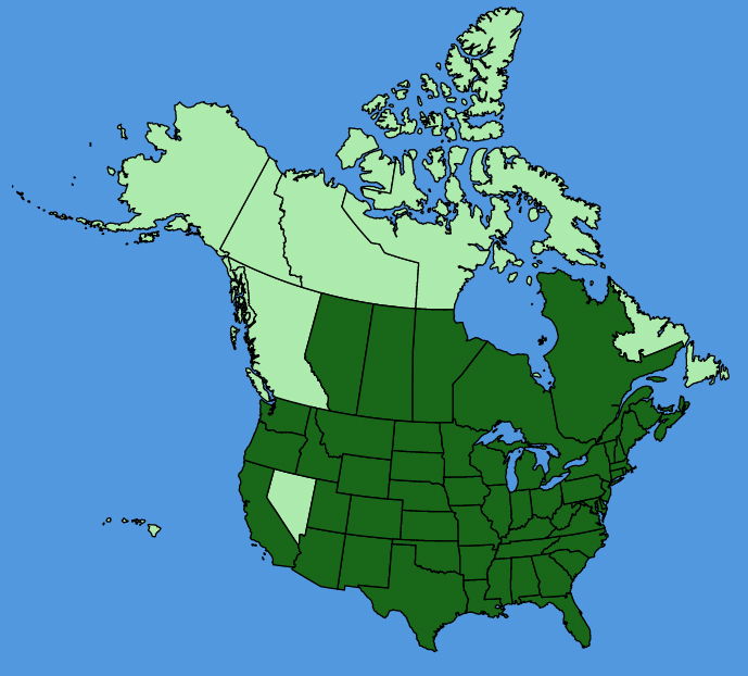 map-usc-Ambrosia-trifida.JPG