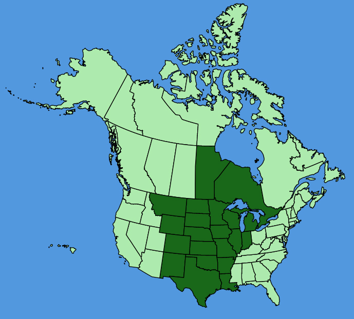 map-usc-Amorpha-canescens.JPG
