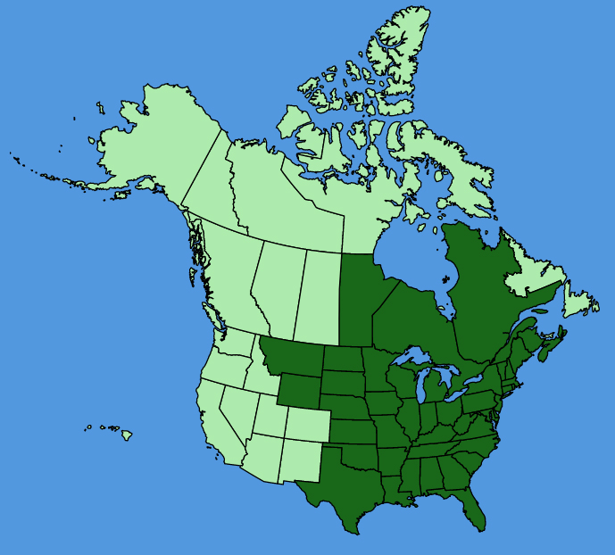 map-usc-Amphicarpaea-bracteata.JPG