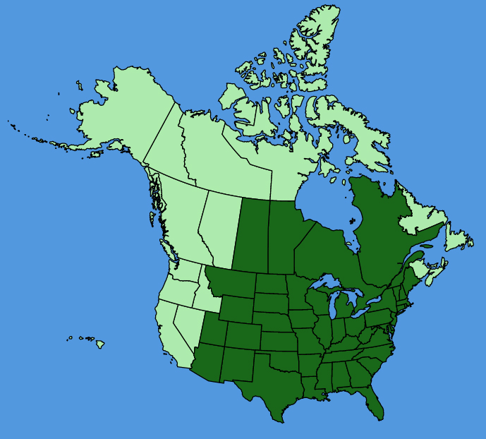 map-usc-Andropogon-gerardi.JPG