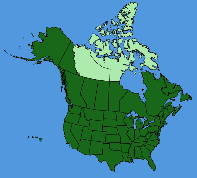 map-usc-Anthemis-cotula.JPG