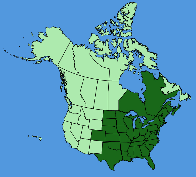 map-usc-Apios-americana.JPG