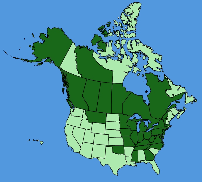 map-usc-Arabidopsis-lyrata.JPG