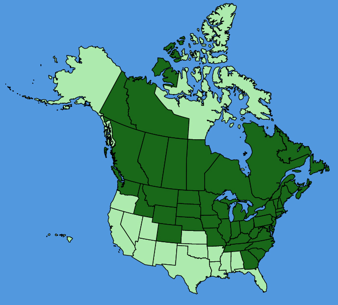 map-usc-Aralia-nudicaulis.JPG