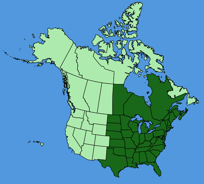 map-usc-Arisaema-triphyllum.JPG