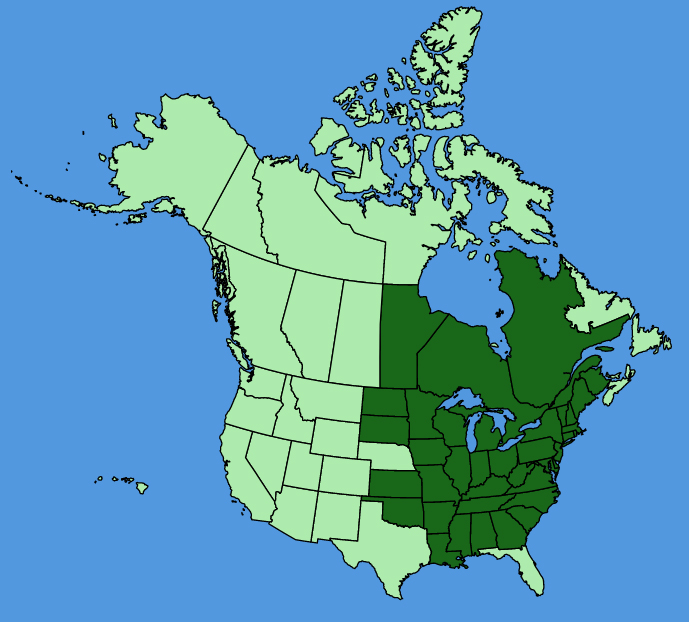 map-usc-Asarum-canadense.JPG