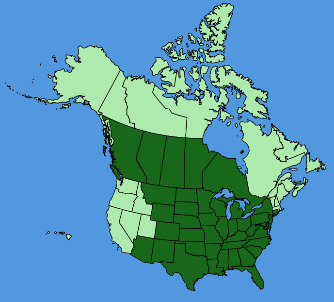 map-usc-Asclepias-viridiflora.JPG