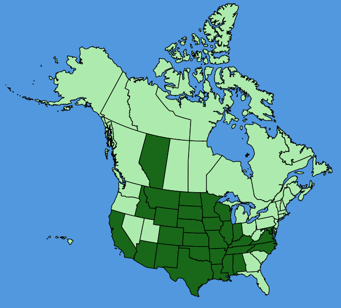 map-usc-Bacopa-rotundifolia.JPG