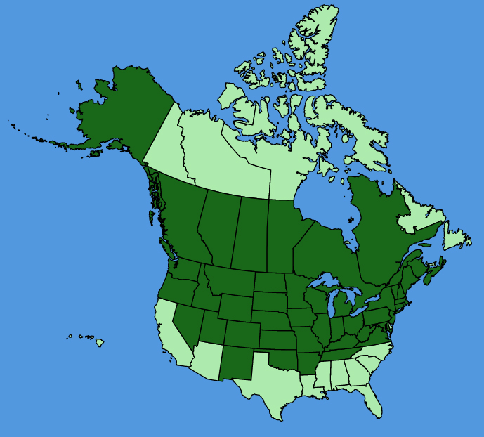 map-usc-Berteroa-incana.JPG