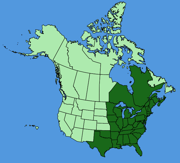 map-usc-Bidens-discoidea.JPG