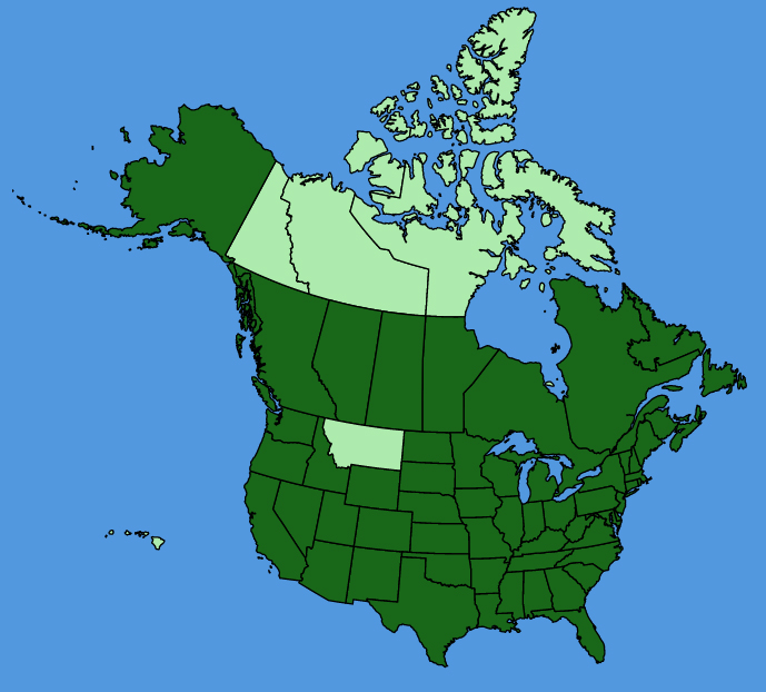 map-usc-Bidens-frondosa.JPG