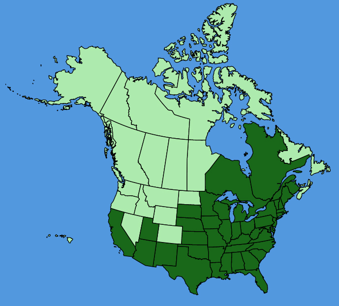 map-usc-Boehmeria-cylindrica.JPG