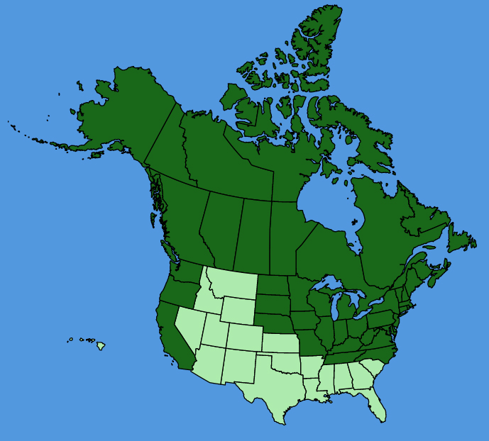 map-usc-Caltha-palustris.JPG