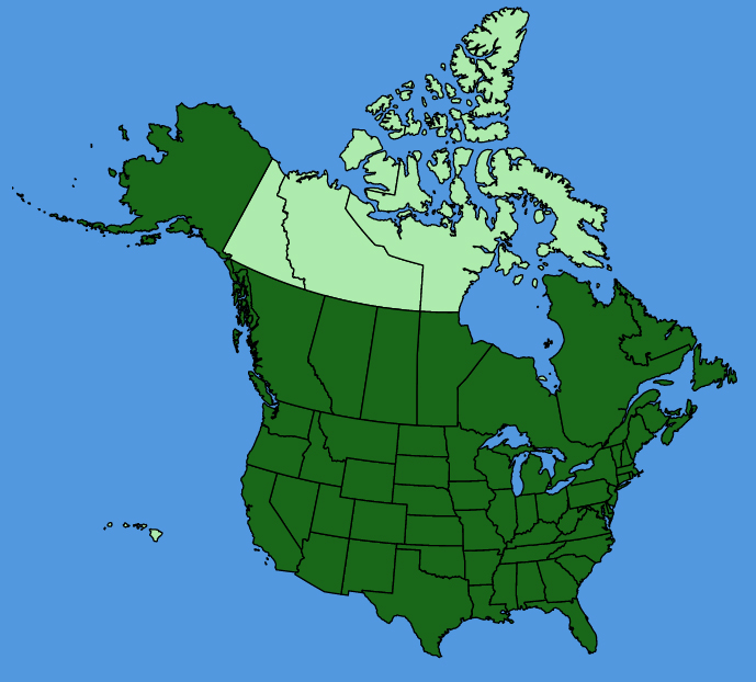 map-usc-Calystegia-sepium.JPG