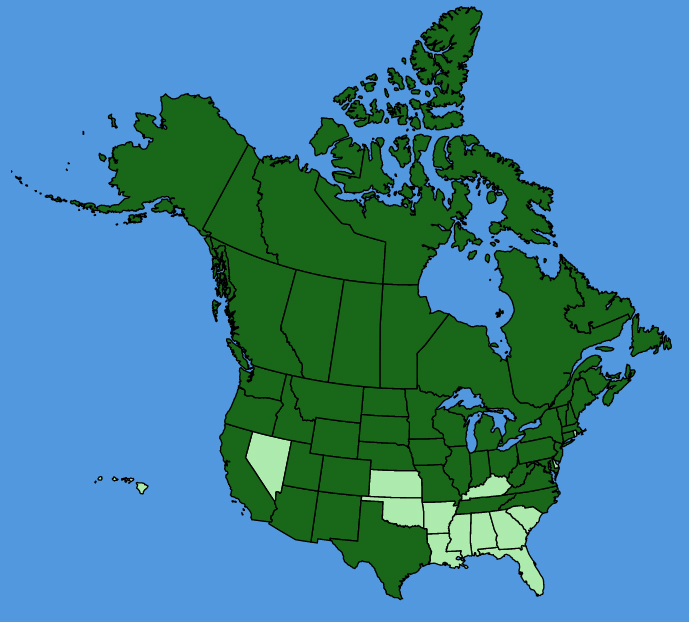 map-usc-Campanula-rotundifolia.JPG