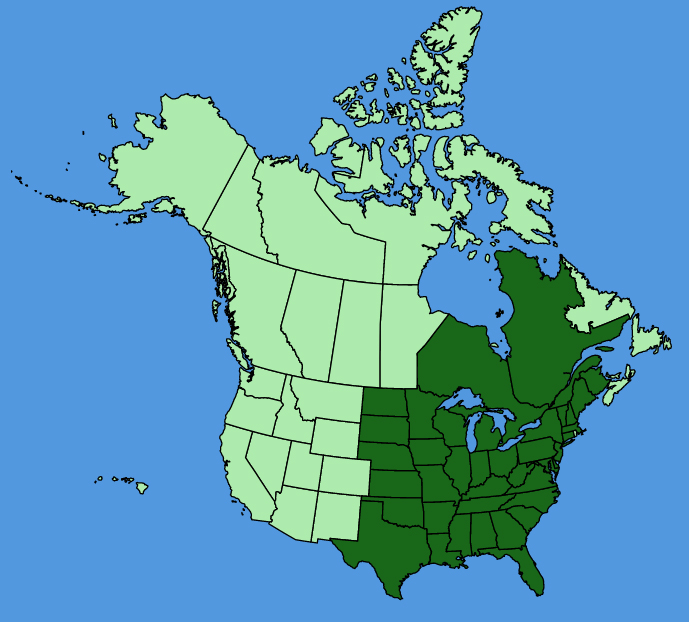 map-usc-Cardamine-concatenata.JPG