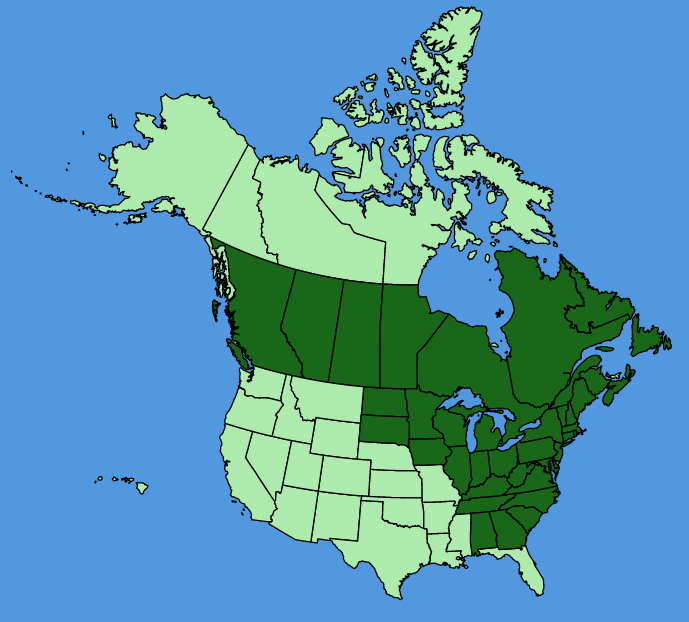 map-usc-Carex-pedunculata.JPG