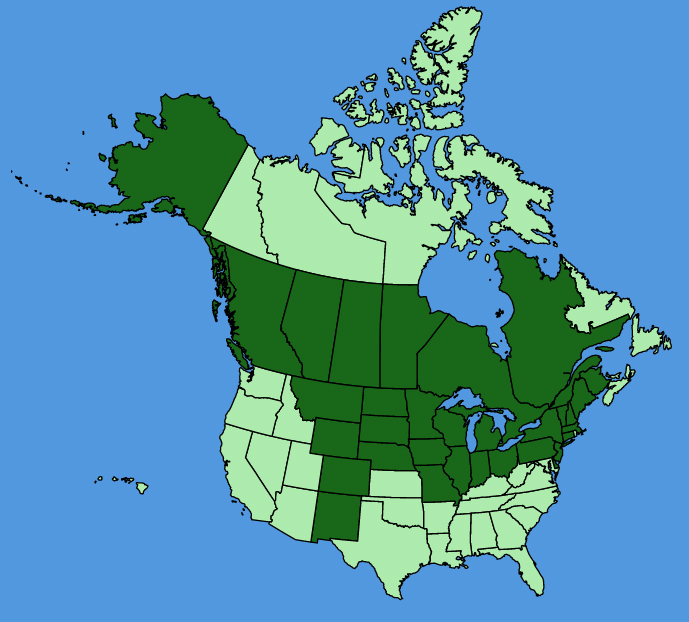 map-usc-Carex-sprengelii.JPG
