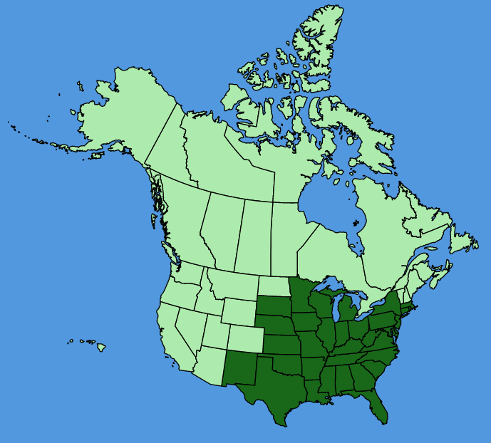 map-usc-Chamaecrista-fasciculata.JPG