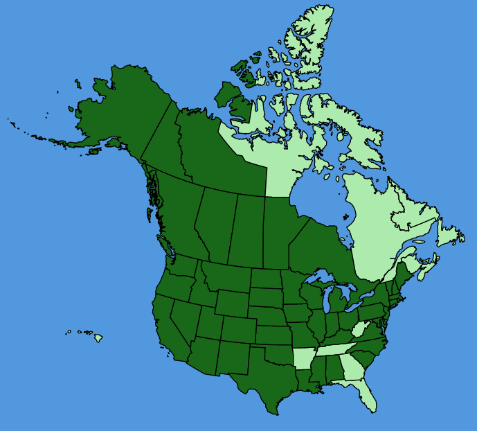 map-usc-Chenopodium-pratericola.JPG