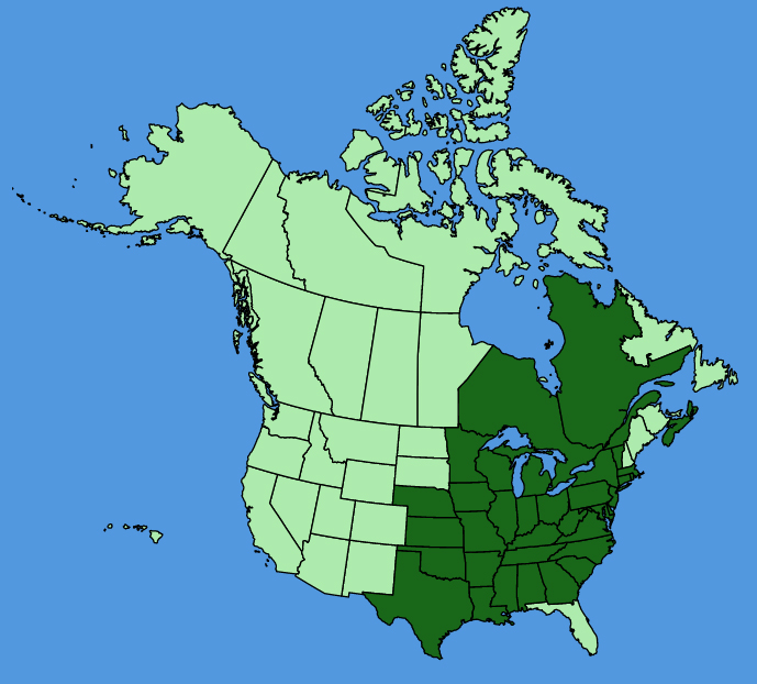 map-usc-Claytonia-virginica.JPG